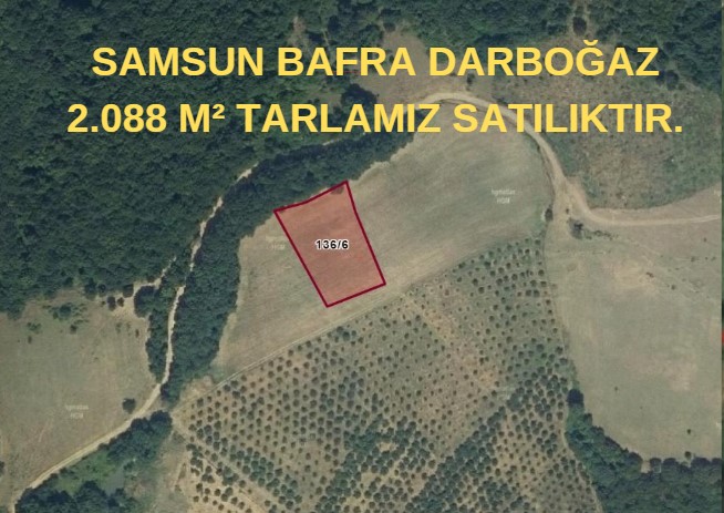 SAMSUN BAFRA DARBOĞAZ 2.088 M² TARLAMIZ SATILIKTIR. - SAMSUN BAFRA fotoğraf 6